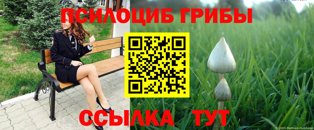 Псилоцибиновые грибы мухоморы  Псилоцибиновые грибы мицелий  Апрелевка  Вход с VPN 